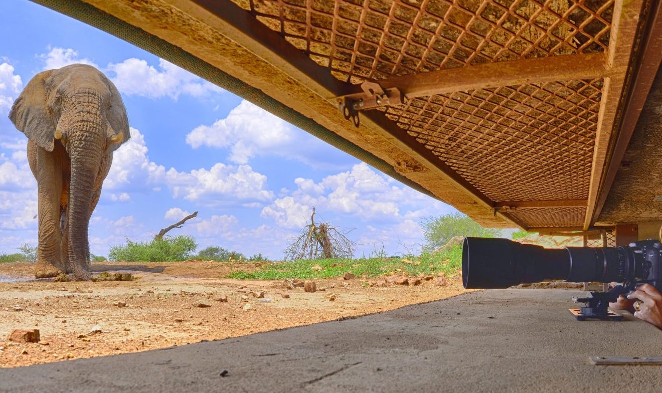 inside-hide-last-word-madikwe inside the hide of Last Word Madikwe