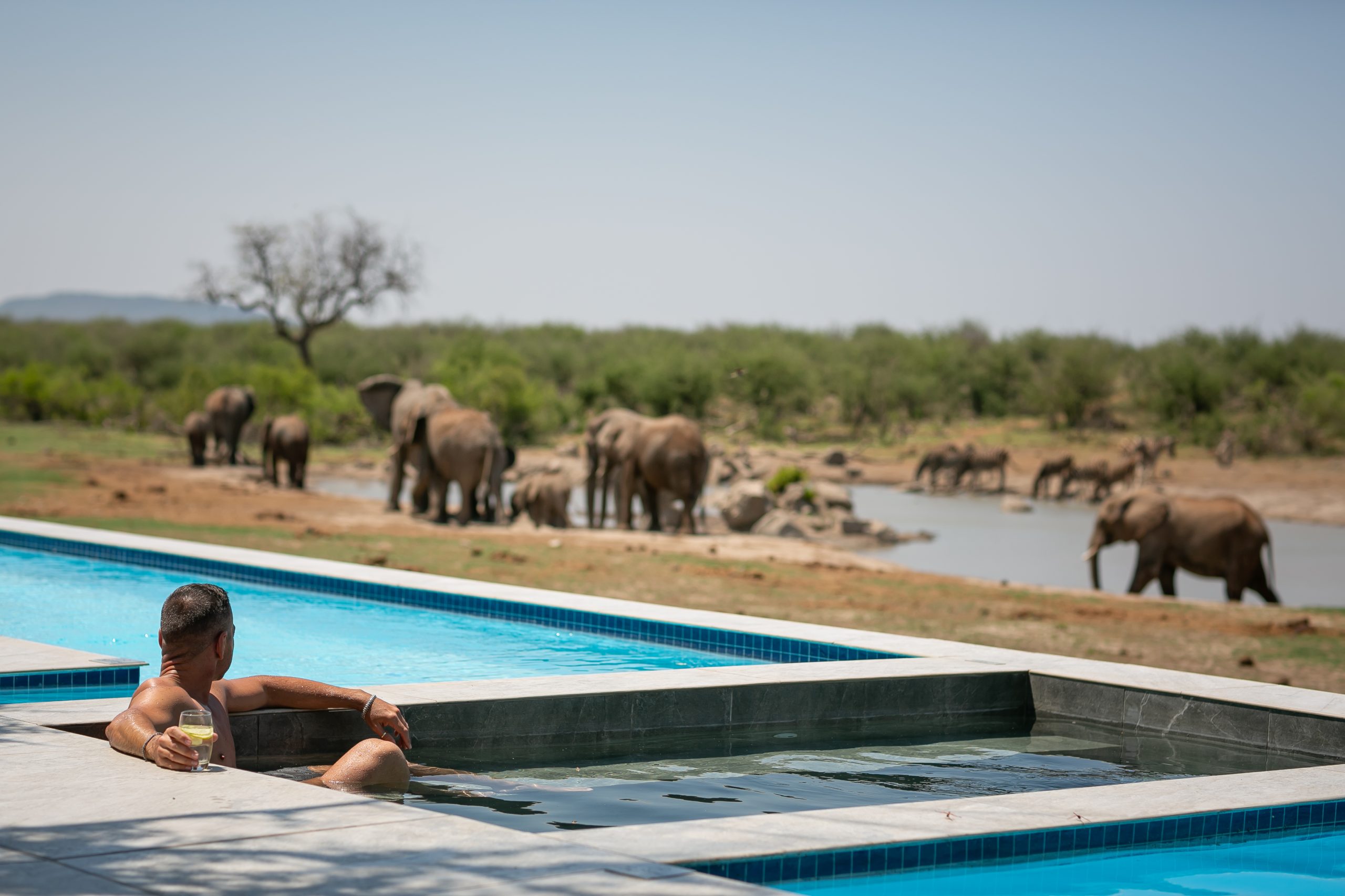 Jamala-Madikwe-Pool-Elephants Man relaxing watching elephants from pool