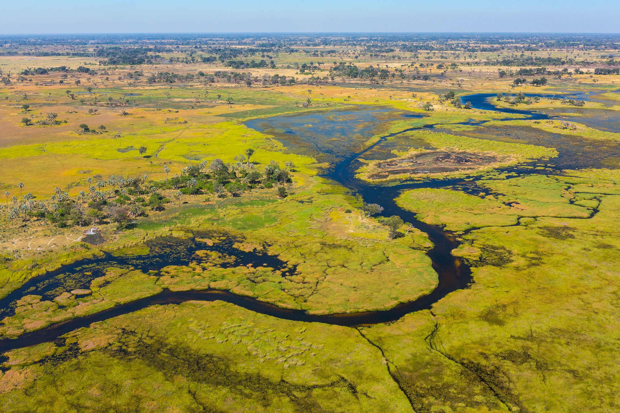 okavango-delta-botswana-africa-AdobeStock_272610236 An aerial view shows winding waterways and green floodplains, highlighting the vibrant landscapes of Africa in September.